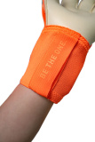 Reusch Attrakt Gold X Evolution 5670064 2290 blau orange 2